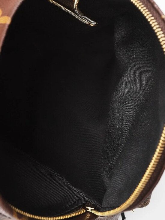 Louis Vuitton Monogram Canvas Palm Springs Mini Backpack Bag main image 9